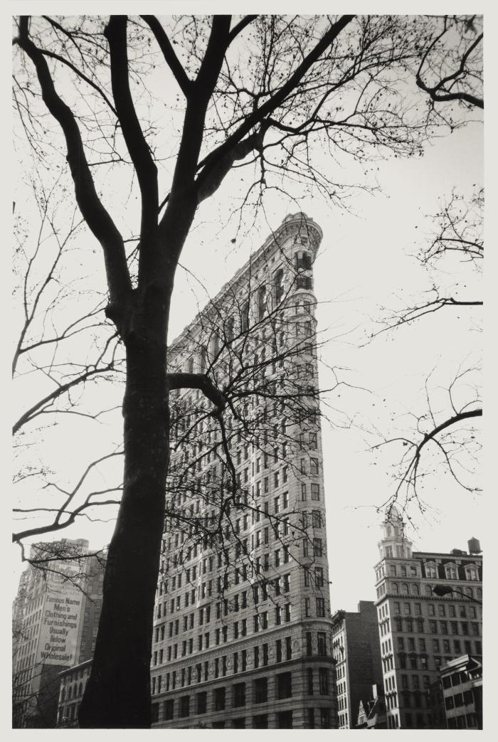 The Flatiron in Winter