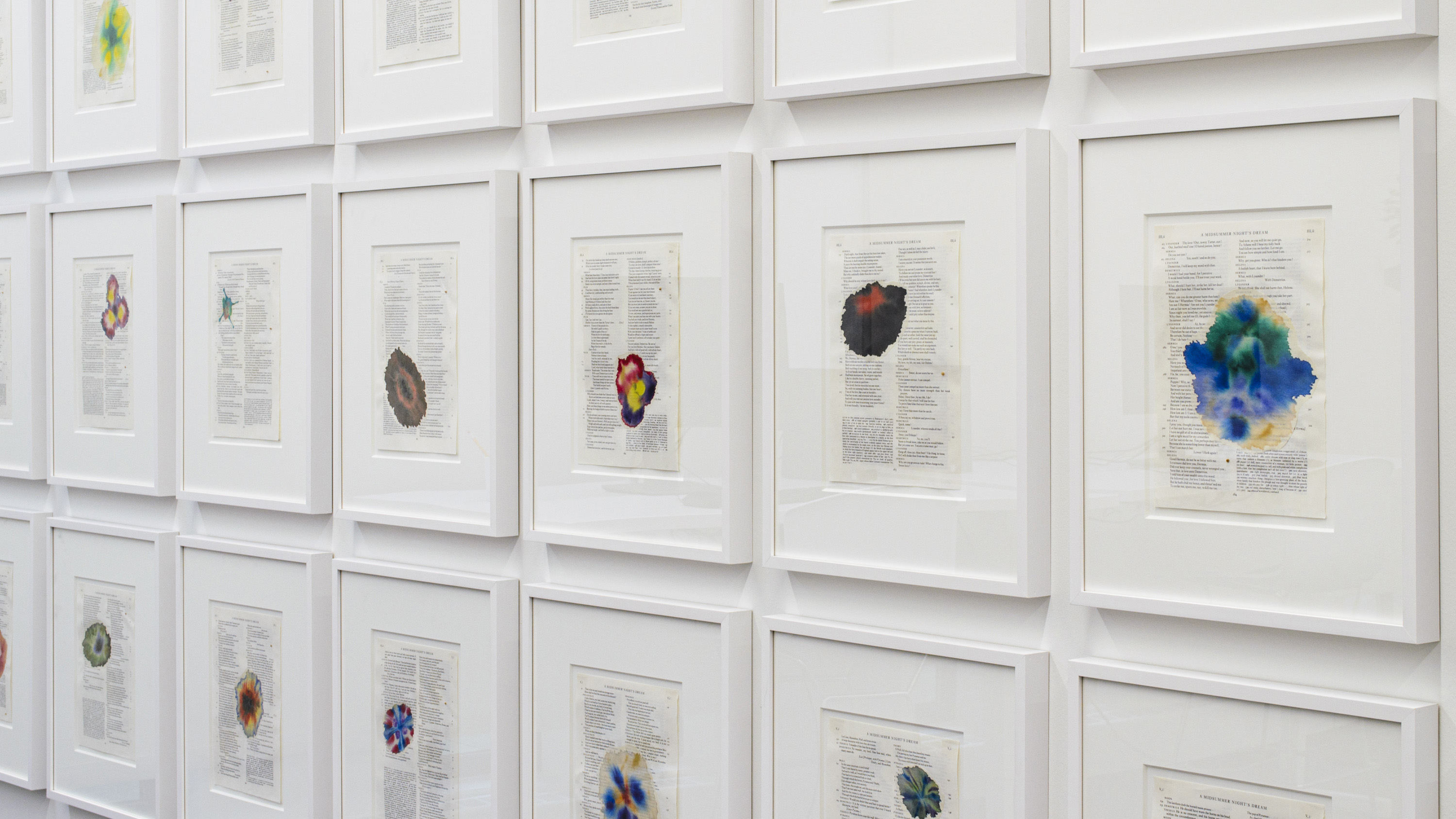 A grid of framed prints photographed at an angle. Within each frame is a page from a book with a small watercolor painting on top.